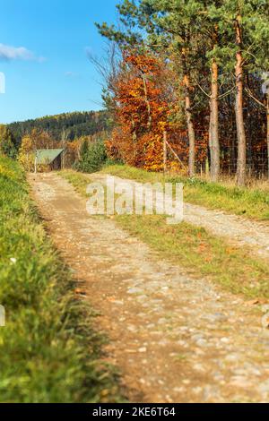 Schotterstraße in den Herbstfeldern in der tschechischen Landschaft. Herbstfarben. Leere Straße in der Natur. Stockfoto