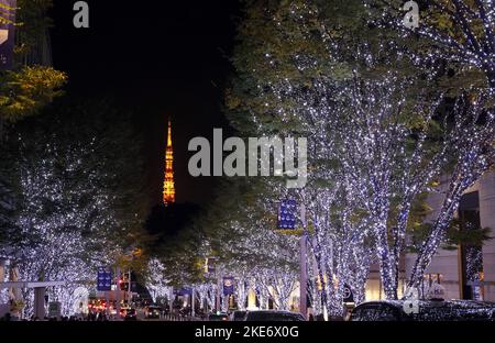 Tokio, Japan. 10.. November 2022. Am Donnerstag, den 10. November 2022, werden 800.000 weiße und blaue LED-Leuchten für die Weihnachtsbeleuchtung neben der Keyakizaka-Straße im Einkaufszentrum Roppongi Hills am Weihnachtstag in Tokio beleuchtet. Quelle: Yoshio Tsunoda/AFLO/Alamy Live News Stockfoto