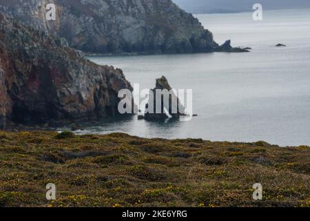 Felsklippen und Granitfelsen mit Bogen am Ufer bei Pointe de Pen-Hir mit etwas Heidekraut im Vordergrund, Halbinsel Crozon, Bretagne, Frankreich Stockfoto