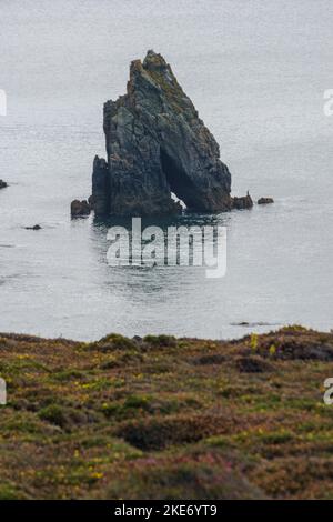 Granitfelsen mit Bogen am Ufer bei Pointe de Pen-Hir mit etwas Heidekraut im Vordergrund, Halbinsel Crozon, Bretagne, Frankreich Stockfoto