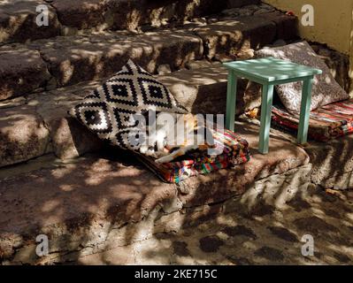 Katze schläft auf einem Kissen. Sonnenlicht auf den Stufen eines Cafés im Freien. In Molyvos Stadt, Lesbos. 2.-022. Oktober. Herbst Stockfoto