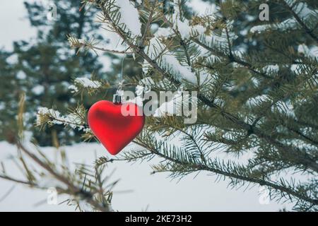 An einem schneebedeckten Ast hängt ein rotes herzförmiges Ornament Stockfoto