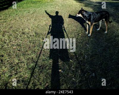 Der Schatten des Mannes und seines Haustiers. Stockfoto