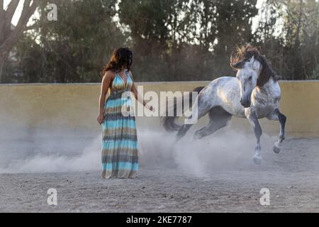 Frau mit Lusitano Stockfoto