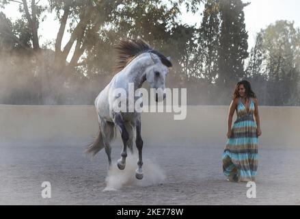 Frau mit Lusitano Stockfoto