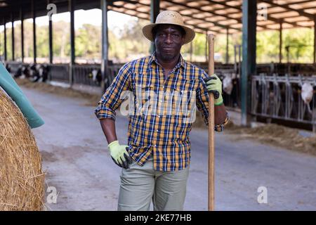 afroamerikanischer Bauer posiert am Sommertag in offenem Kuhstall Stockfoto