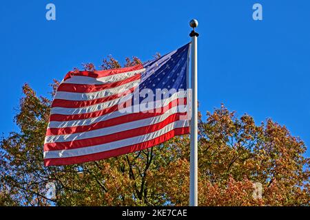 Eine amerikanische Flagge, die im Wind winkt. Mit einem herbstfarbenen Baum und einem wunderschönen blauen Himmel im Hintergrund. Stockfoto
