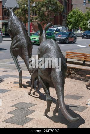 Bronzeskulpturen von Western Grey Kängurus in den Stirling Gardens auf der St. Georges Terrace, Perth, Westaustralien Stockfoto