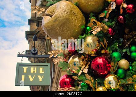 ivy Restaurant Schild Glasgow Außenfassade Weihnachtsdekoration aus nächster Nähe Stockfoto