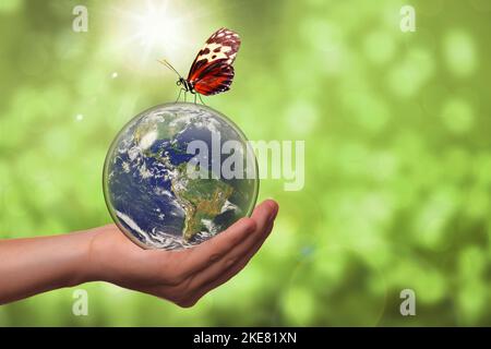 Naturschutzkonzept mit Planet Erde im Inneren Glaskugel mit Schmetterling und Kopierraum. Konzept der Klimaregelung, Umwelt c Stockfoto