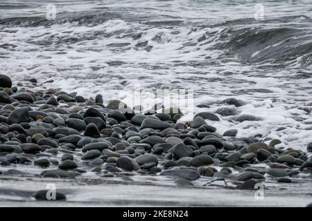 Eine Graustufenaufnahme des Strandes voller kleiner Felsen Stockfoto