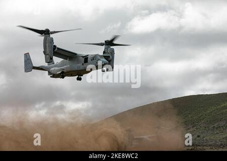 Ein US Marine Corps MV-22 Osprey aus Marine Medium Tiltrotor Squadron 363, Marine Corps Base Hawaii, Lufteinschübe 2. Bataillon, 35. Infanterie-Regiment, 3. Infanterie-Brigade-Kampfteam, 25. Infanterie-Division Opponents Forces on Pohakuloa Training Grounds, 7. November 2022. Bilaterale und multilaterale Übungen stärken die Beziehungen und verbessern die Interoperabilität mit Verbündeten und Partnern durch gemeinsame Erfahrungen und harte, realistische Schulungen. Wir laden regelmäßig Verbündete und Partner ein und ermutigen sie, an JPMRC-Rotationen teilzunehmen. (USA Armeefoto von Sgt. Rachel Christensen) Stockfoto