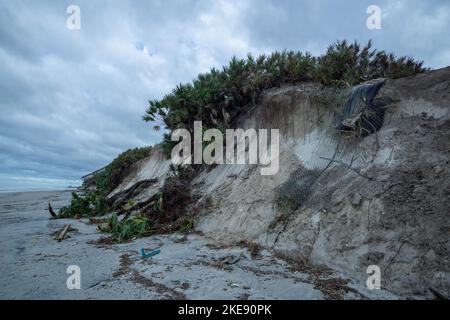 Die Dünen in Ponce Inlet und in Dayona Beach wurden durch den Unruheanfalle Nicole weitgehend zerstört. Stockfoto