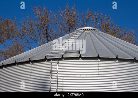 Nahaufnahme eines Metalldachs und eines Wellstahlrohrs an der runden Wand eines Getreidelagerbehälters aus Metall mit Bäumen im Hintergrund Stockfoto