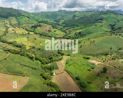 Die größte Ursache für den Waldverlust in Thailand ist die Abholzung der Landwirtschaft, Umweltschäden in Südostasien, die globale Erwärmung und die Umwelt. Stockfoto