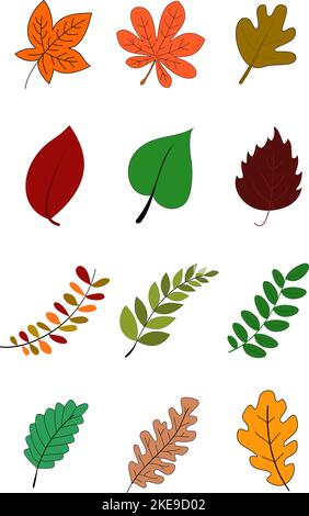 Herbstlaub im Vektordesign Stock Vektor