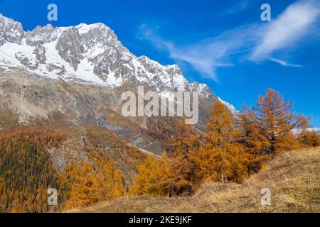 Blick auf Grandes Jorasses und das Mont Blanc-Massiv vom Weg zur Bergone Refuge im Ferret Valley im Herbst. Ferret Valley, Courmayeur, Aosta Bezirk, Stockfoto