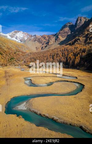 Luftaufnahme des Preda Rossa-Tals im Herbst vor dem Monte Disgrazia und Corni Bruciati. Val Masino, Provinz Sondrio, Lombardei, Italien. Stockfoto