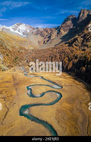 Luftaufnahme des verwinkelten Duino-Flusses im Herbst im Preda Rossa-Tal vor dem Monte Disgrazia und Corni Bruciati. Val Masino, Provinz Sondrio, Stockfoto