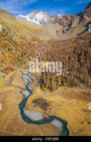 Luftaufnahme des Preda Rossa-Tals im Herbst vor dem Monte Disgrazia und Corni Bruciati. Val Masino, Provinz Sondrio, Lombardei, Italien. Stockfoto