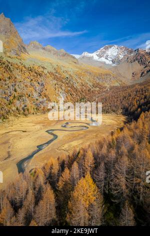 Luftaufnahme des Preda Rossa-Tals im Herbst vor dem Monte Disgrazia und Corni Bruciati. Val Masino, Provinz Sondrio, Lombardei, Italien. Stockfoto