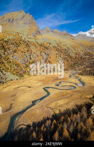 Luftaufnahme des Preda Rossa-Tals im Herbst vor dem Monte Disgrazia und Corni Bruciati. Val Masino, Provinz Sondrio, Lombardei, Italien. Stockfoto