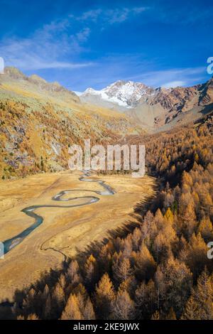 Luftaufnahme des Preda Rossa-Tals im Herbst vor dem Monte Disgrazia und Corni Bruciati. Val Masino, Provinz Sondrio, Lombardei, Italien. Stockfoto