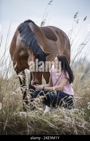 Dutch Warmblut mit Frau Stockfoto