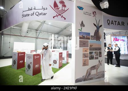 Sharm El Sheikh, Ägypten. 10.. November 2022. Während der UN-Klimakonferenz 2022 COP27 geht ein Mann am Pavillon von Katar spazieren. Kredit: Gehad Haddy/dpa/Alamy Live Nachrichten Stockfoto