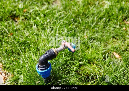 Wasserhahn in einem Park, um den Wasserschlauch darauf einzustellen, um das grüne Gras im öffentlichen Park zu hydratisieren. Chrom Wasserhahn in Natur Hintergrund Stockfoto