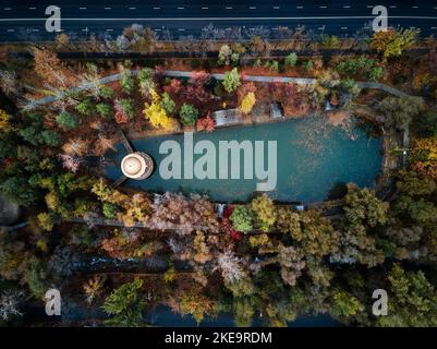Luftdrohne Aufnahme von kleinen grünen See im Stadtpark mit gelben Blättern Ahornbäume und runde Rotunde mit Brücke überqueren den See im Herbst in Einem Stockfoto