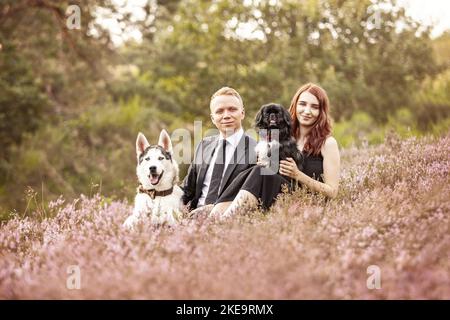 2 Hunde Stockfoto