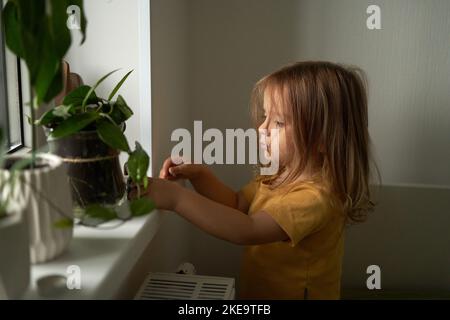 An einem bewölkten Herbsttag spielt das Kind am Fenster.häusliches Leben. Inneneinrichtung. Grüne Blumen auf der Fensterbank. Speicherplatz kopieren. Selektiver Fokus. Stockfoto