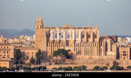 Catedral-Basilica de Santa Maria de Mallorca in Palma, Spanien Stockfoto