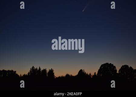 Ein Komet, der in einem wunderschönen Nachthimmel über den Silhouetten der Bäume fliegt. Stockfoto