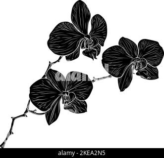 Orchidee-Blume-Holzschnitt-Orchideen Grafikdesign Stock Vektor