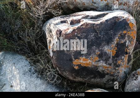 Rock Malerei aka petroglypgs in der Feld-, Cholpon-Ata, Issyk-kul, Kirgisistan Stockfoto