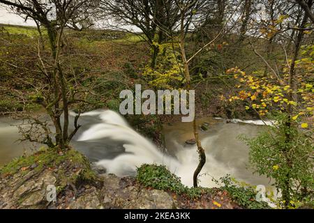 Wasserfall bekannt als Janet's Foss, in der Nähe des Dorfes Malham in den Yorkshire Dales, Großbritannien Stockfoto