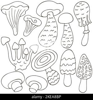 Pilze. Satz von Vektorgrafiken im handgezeichneten Stil. Einfarbiger Poster mit Waldpilzen. Sammlung von Aufklebern Stock Vektor