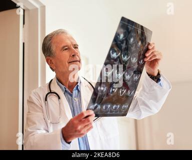 Radiologie ist seine Spezialität. Ein reifer Arzt hält einen Röntgenstrahl hoch, um ihn zu untersuchen. Stockfoto