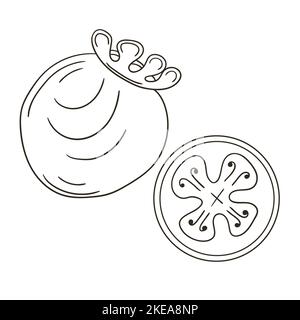 Feijoa. Satz von Vektorgrafiken im handgezeichneten Stil. Ausmalungsplakat mit Früchten. Sammlung von Symbolen, Schilder, Pins, Aufkleber Stock Vektor