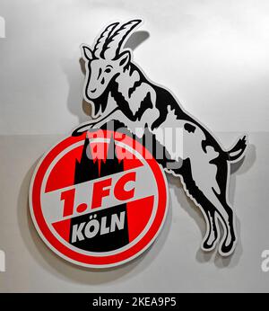 Besuch des RheinEnergiestadions - der offizielle Spielplatz des FC Köln Stockfoto
