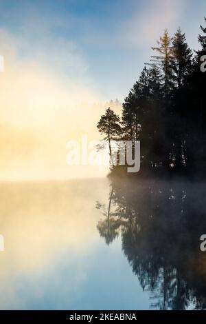 Kiefern und Wald Silhouette bei Sonnenaufgang im Gegenlicht mit Nebelschwaden über dem Moorsee Étang de la Gruère im Kanton Jura, Schweiz Stockfoto