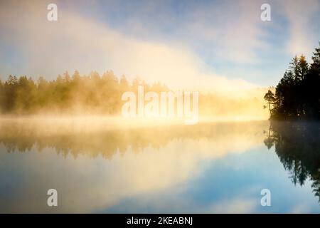 Kiefern und Wald Silhouette bei Sonnenaufgang im Gegenlicht mit Nebelschwaden über dem Moorsee Étang de la Gruère im Kanton Jura, Schweiz Stockfoto