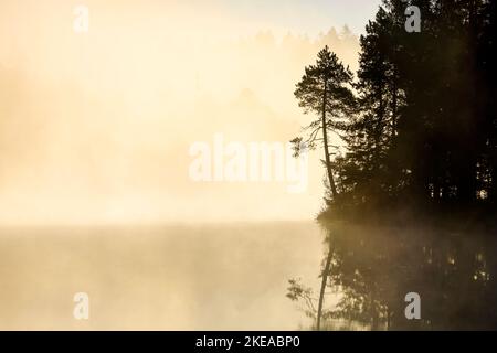 Kiefern und Wald Silhouette bei Sonnenaufgang im Gegenlicht mit Nebelschwaden über dem Moorsee Étang de la Gruère im Kanton Jura, Schweiz Stockfoto