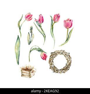 Handgezeichnetes Aquarell rosa Blumen Tulpen Set und leerer Kranz aus braunen Zweigen. Es ist perfekt für Grußkarten, Hochzeitseinladung, Geburtstag Stockfoto