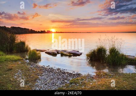 Blick von Arbon über den Bodensee in Richtung Romanshorn bei farbenfrohem Sonnenuntergang, Schweiz, Thrugau Stockfoto