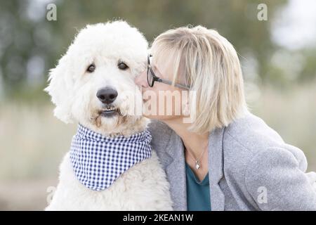 Frau und Labradoodle Stockfoto