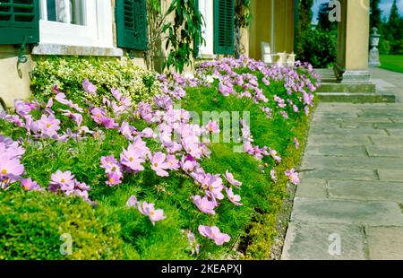 Polesden Lacey in Surrey. A National Trust Property, gedreht im Jahr 1990s. Stockfoto