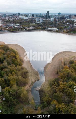 Edgabston Reservoir, Birmingham, 11. November 2022. - Die Wasserstände im Edgbaston Reservoir in Birmingham liegen immer noch weit unter dem üblichen Winterniveau. Das Wasser ist zurückgegangen und hat viele exponierte Schlamm- und Schlammflächen mit einer neuen Grasschicht, die über mehrere Monate Dürrebedingungen gewachsen ist. Das städtische Reservoir ist eine Meile (1,6 km) vom Stadtzentrum von Birmingham entfernt. PIC by Credit: Stop Press Media/Alamy Live News Stockfoto